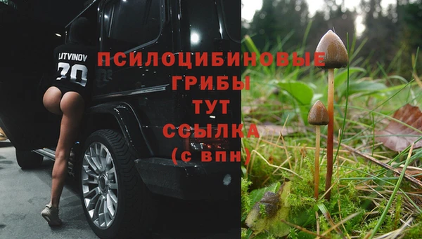 скорость Гусь-Хрустальный